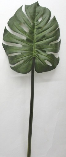 巨型蓬萊蕉葉