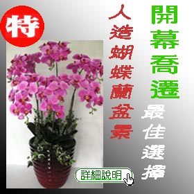 �H�y�������ִ�