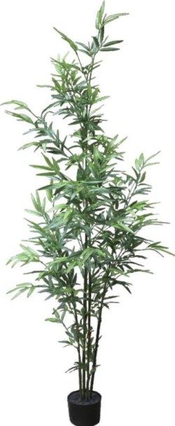 �H�y��ˬִ�